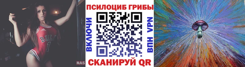 наркотики  Славск  Галлюциногенные грибы мухоморы 