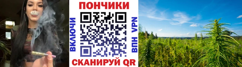 Каннабис план закладка Славск